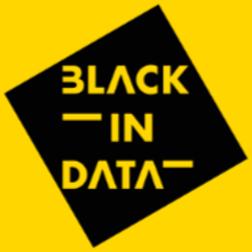 Black In Data